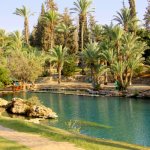 is_al_ganhashlosha_500.jpg