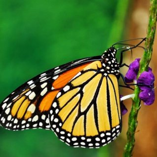 cr_ al_rincondelavieja_onedaynaturepass1.jpg