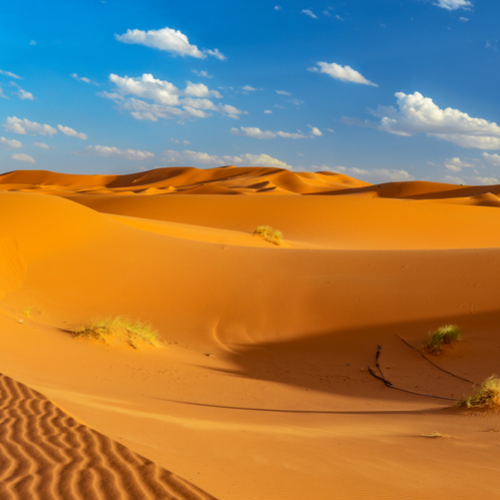Erg Chebbi