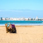essaouira.jpg