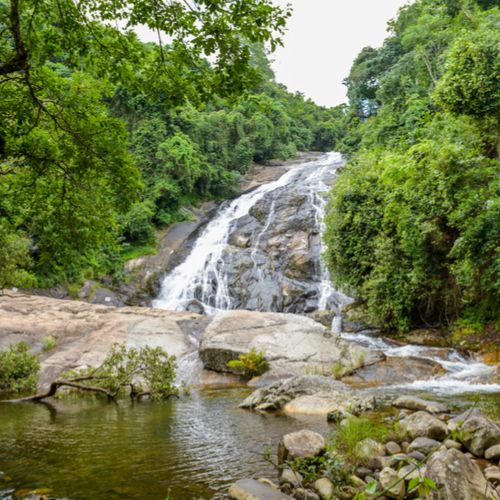 Tzaneen