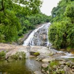 Tzaneen