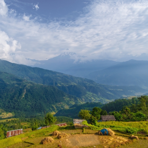 Trekking Dhampus