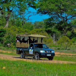 za_ac_timbavati_safari1.jpg