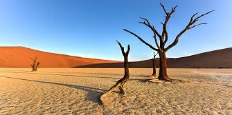 Deadvlei Namibie 