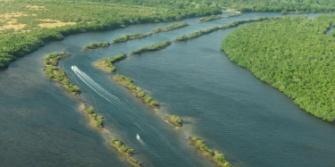 Regreener project, mangrove Kenia