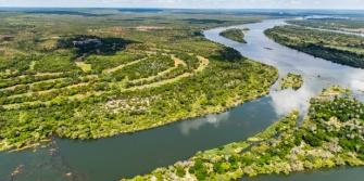 Regreener project, bos Zambia