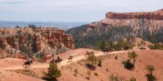 Tips paardrijden, Bryce Canyon