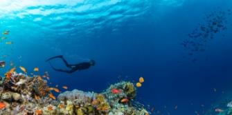 Tips snorkelen & duiken