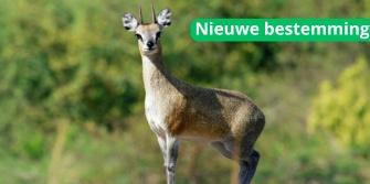 Oeganda nieuwe bestemming