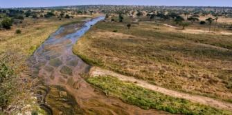 Regreener project, herstel landschap Tanzania