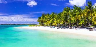 Paradise