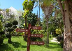 overig Samui Palm Beach