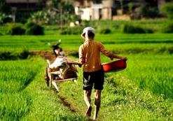 Homestay Mai chau
