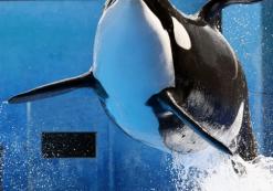 USA Florida Seaworld