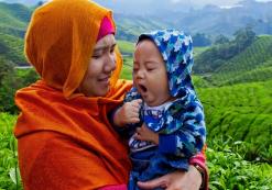 Cameron Highlands