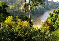 Taman Negara