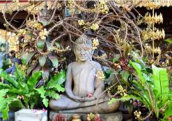 Phnom Penh