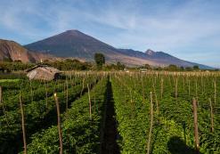 Mt. Rinjani
