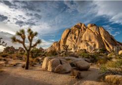 Joshua Tree National Park Joshua Tree National Park