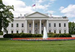 White house