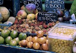 Markt San José