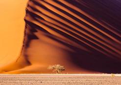 Dune 45