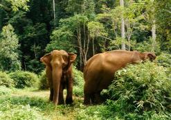 Mondulkiri