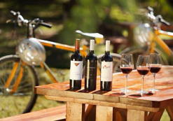 BikesNwines
