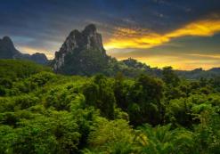 Khao Sok Nationaal Park