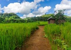 Mondulkiri