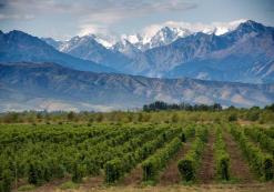 Mendoza
