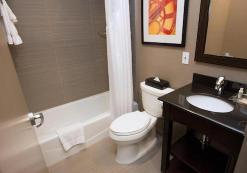 us_ac_nyc_holidayinnlowereastKA