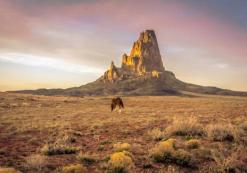 Kayenta