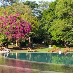 Zwembad Habarana Chaaya Village Sri Lanka