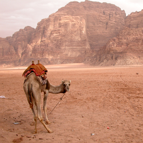 Woestijnlandschap Wadi Rum
