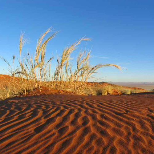 Namib Desert Lodge, omgeving