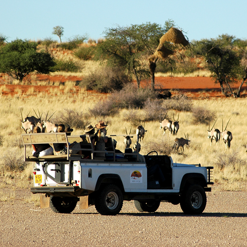 Omgeving Kalahari Anib Lodge Kalahari Namibië