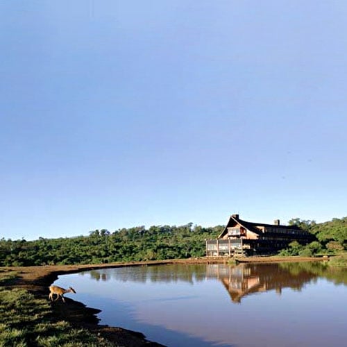 The Ark Lodge, overview
