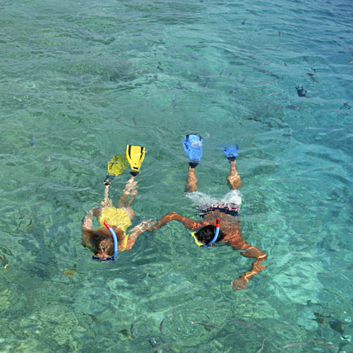 Snorkelen Malediven