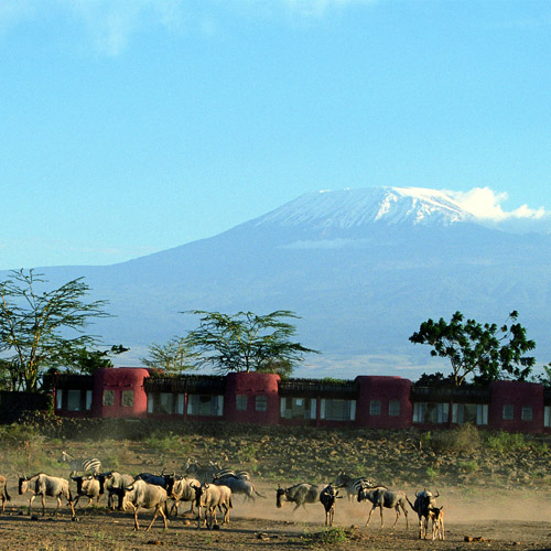 Amboseli NP met Kilimanjaro