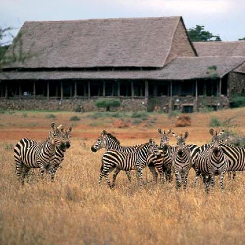 Overzicht Kilaguni Serena Lodge Tsavo Oost/ West Nationaal Park Kenia