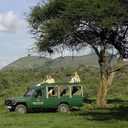 Detail Kilaguni Serena Lodge Oost/ West Nationaal Park Kenia