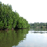 Rivier Negombo Sri Lanka