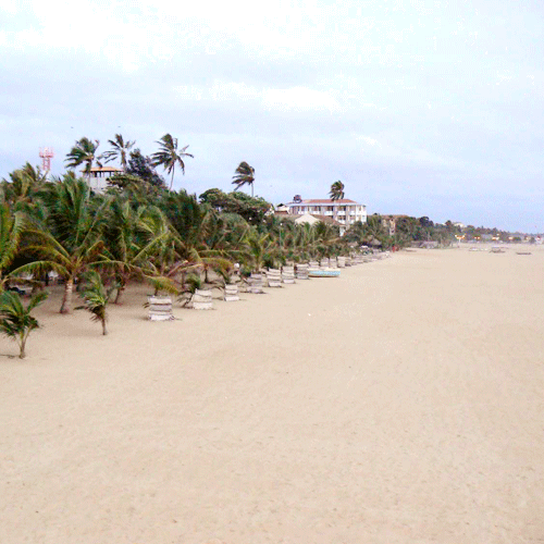 Strand Negombo Sri Lanka