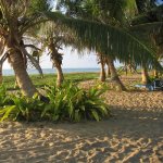 Uitzicht Nilaveli Beach Hotel Trincomalee Sri Lanka