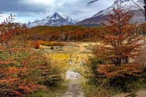 Langs beverdammen naar de Emerald Lagoon