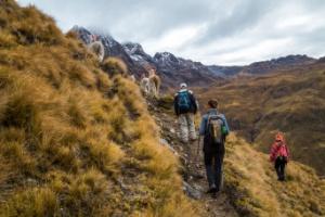 Lares trek met alpaca's