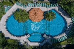 Bali Tropic