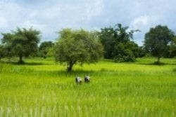 Upgrade priv&eacute; transfer Phnom Penh - Battambang